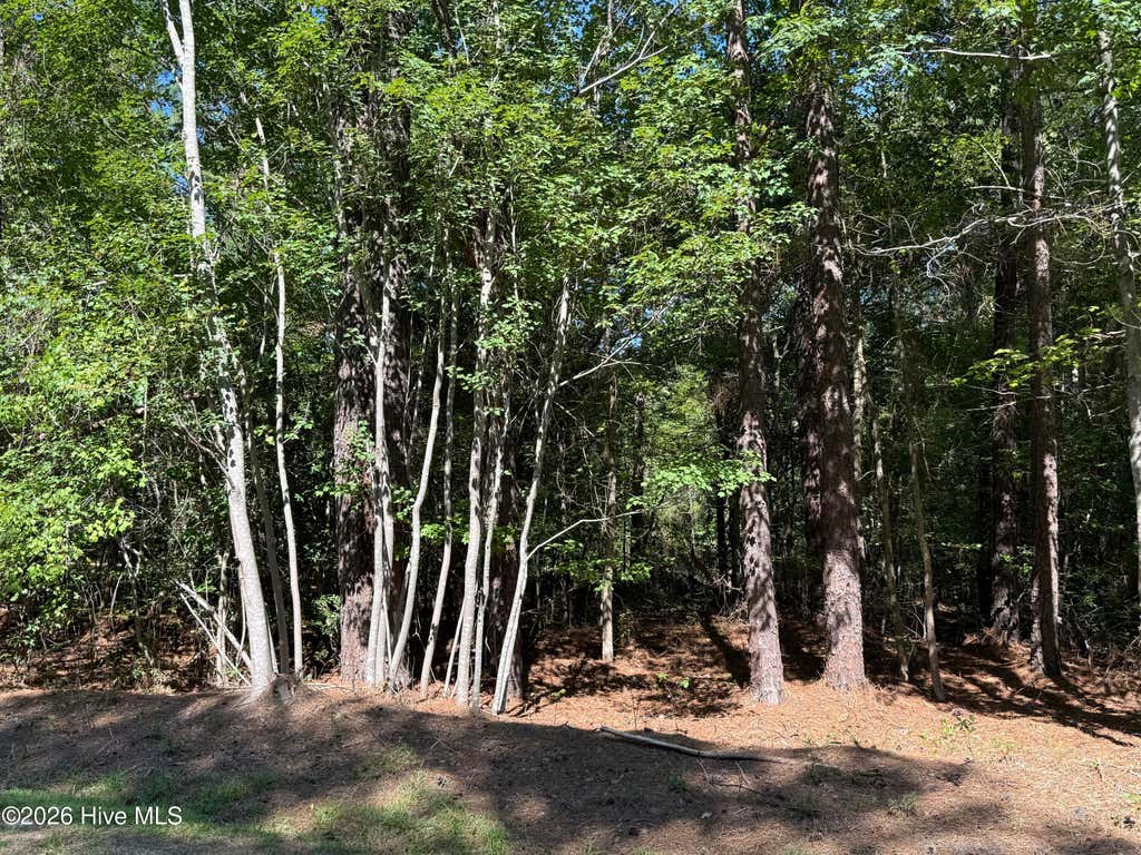 Photo of 7657 Main Street, West End, NC 27376 (MLS # 100598896)