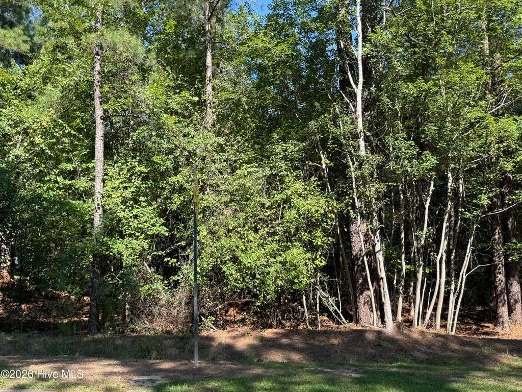 Photo of 7657 Main Street, West End, NC 27376 (MLS # 100598896)