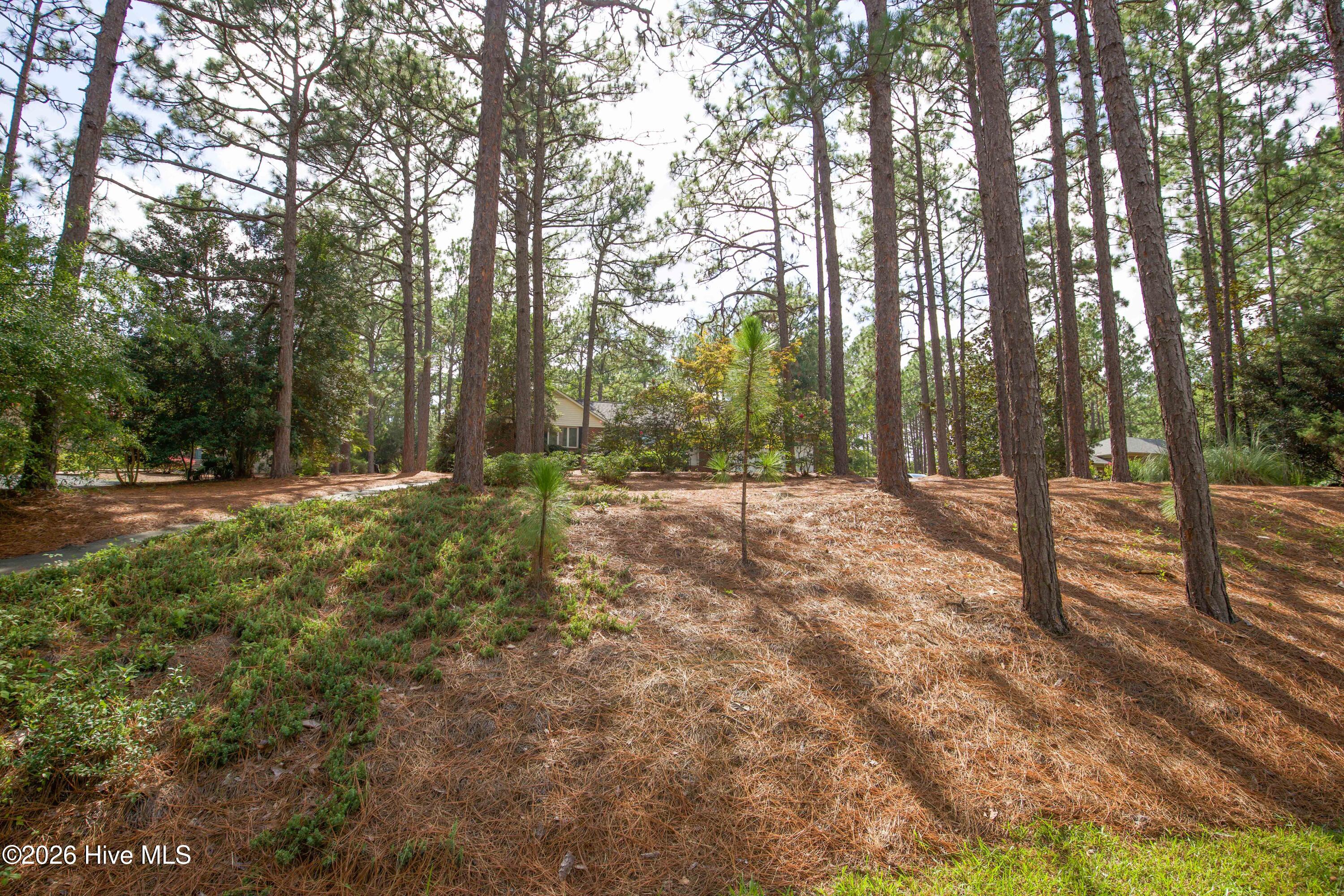48 Martin Drive