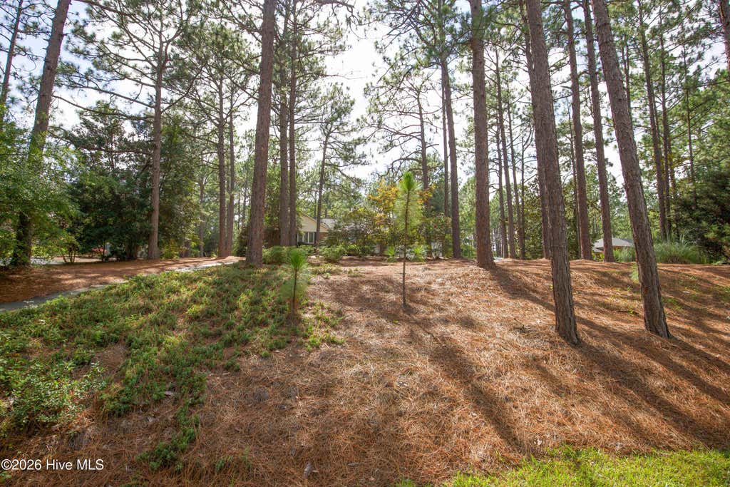 Photo of 48 Martin Drive, Whispering Pines, NC 28327 (MLS # 100594964)