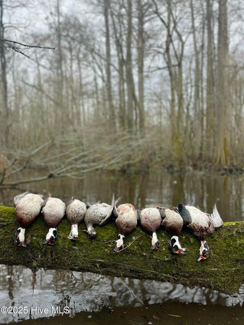 Vacant Land For Sale - 00 Gurman Powell Road<br/> Kenansville, NC 28349