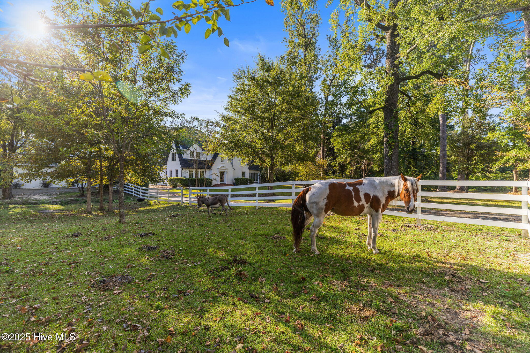 Wilmington, North Carolina 28401, United States, 3 Bedrooms Bedrooms, ,3 BathroomsBathrooms,Residential,Active,255985