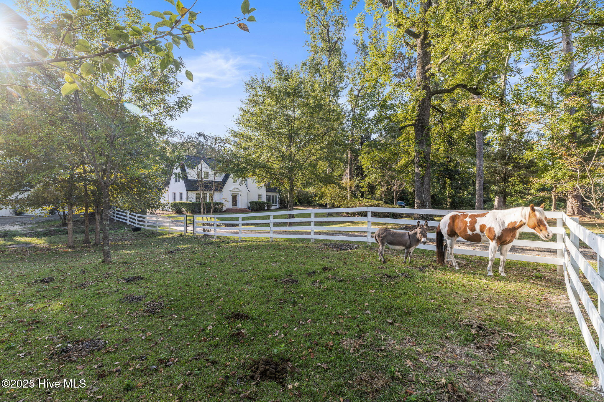 Wilmington, North Carolina 28401, United States, 3 Bedrooms Bedrooms, ,3 BathroomsBathrooms,Residential,Active,255985