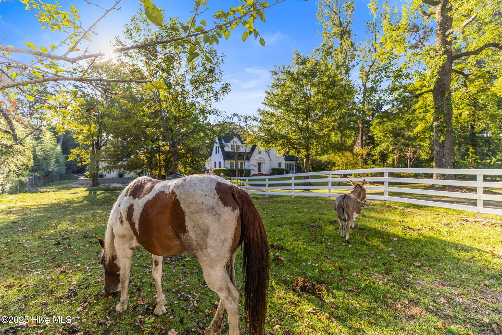 Wilmington, North Carolina 28401, United States, 3 Bedrooms Bedrooms, ,3 BathroomsBathrooms,Residential,Active,255985