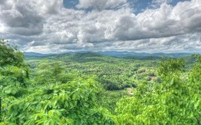 Vacant Land For Sale - LOT 1 High Country Lane<br/> Union County, Morganton, GA 30560