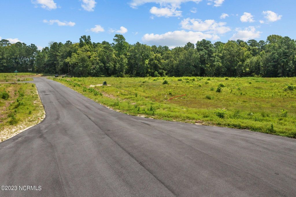 Photo of 405 Red Drum Way W, Swansboro, NC 28584 (MLS # 100398223)