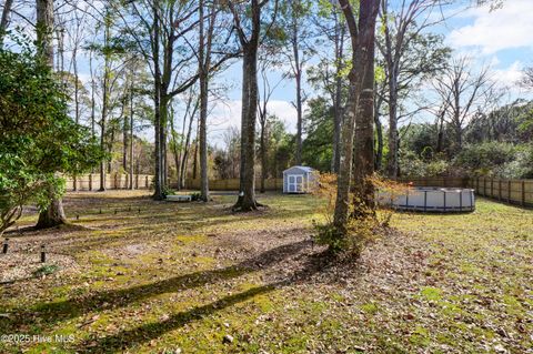 Tiny photo for 1755 E Wilmington Street Ext, Burgaw, NC 28425 (MLS # 100545670)
