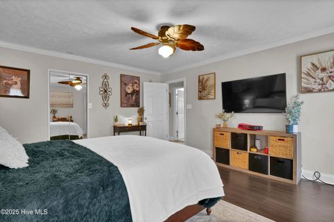 Tiny photo for 1755 E Wilmington Street Ext, Burgaw, NC 28425 (MLS # 100545670)