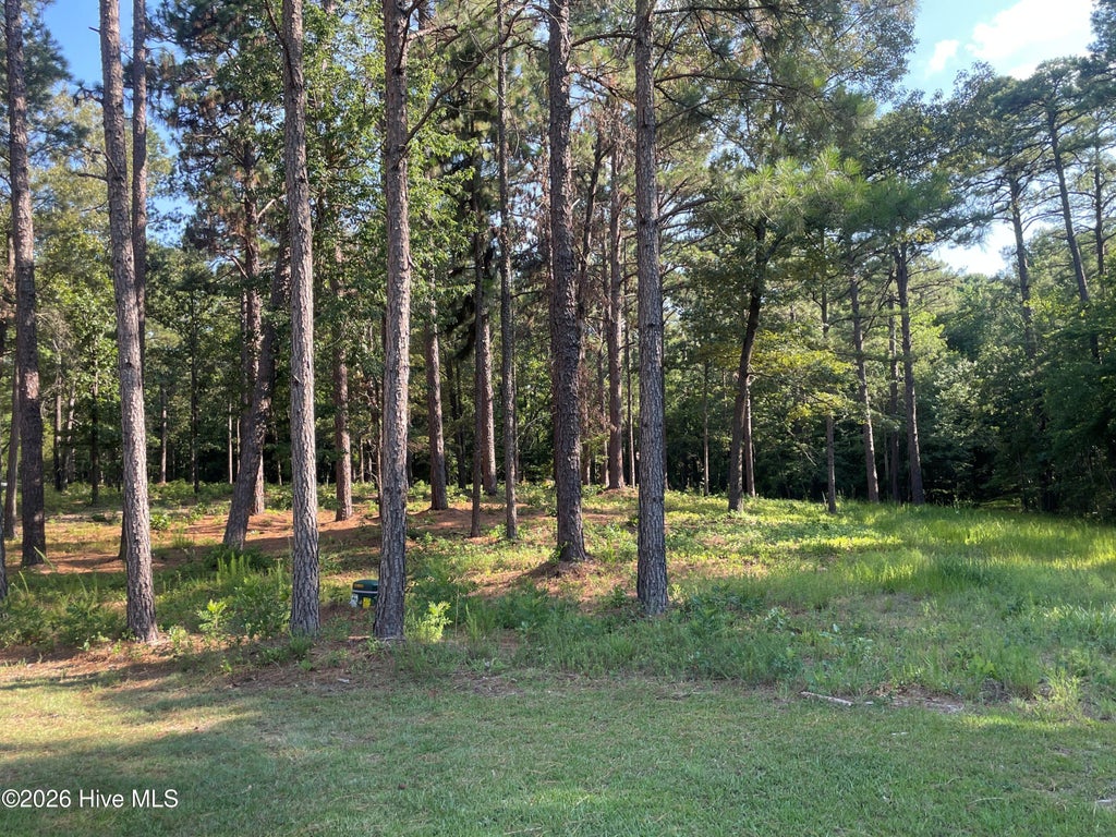 Photo of 231 Meyer Farm Drive, Pinehurst, NC 28374 (MLS # 100610502)