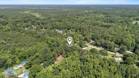 Tiny photo for 219 Lanier Avenue, Rocky Point, NC 28457 (MLS # 100579276)