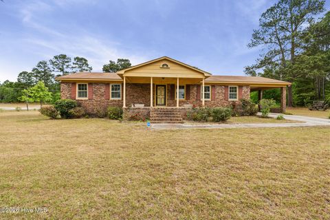 Photo of 130 Michael Maezyck Road, Ellerbe, NC 28338 (MLS # 100568284)