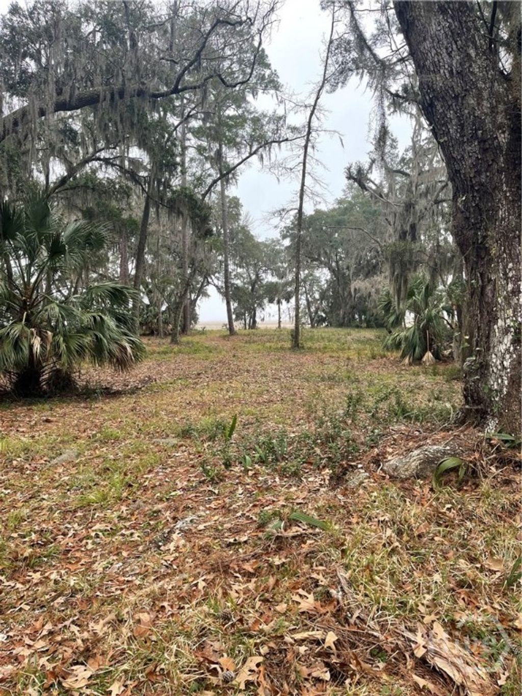 Photo of 2050 Belle Hammock Road NE, Townsend, GA 31331 (MLS # SA350342)