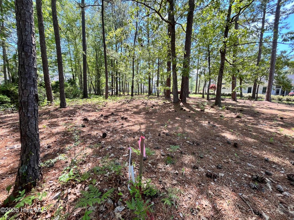 Photo of 372 Laurel Valley Drive, Shallotte, NC 28470 (MLS # 100568457)