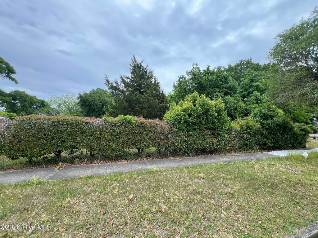 Photo of 1223 S 8th Street, Wilmington, NC 28401 (MLS # 100570419)