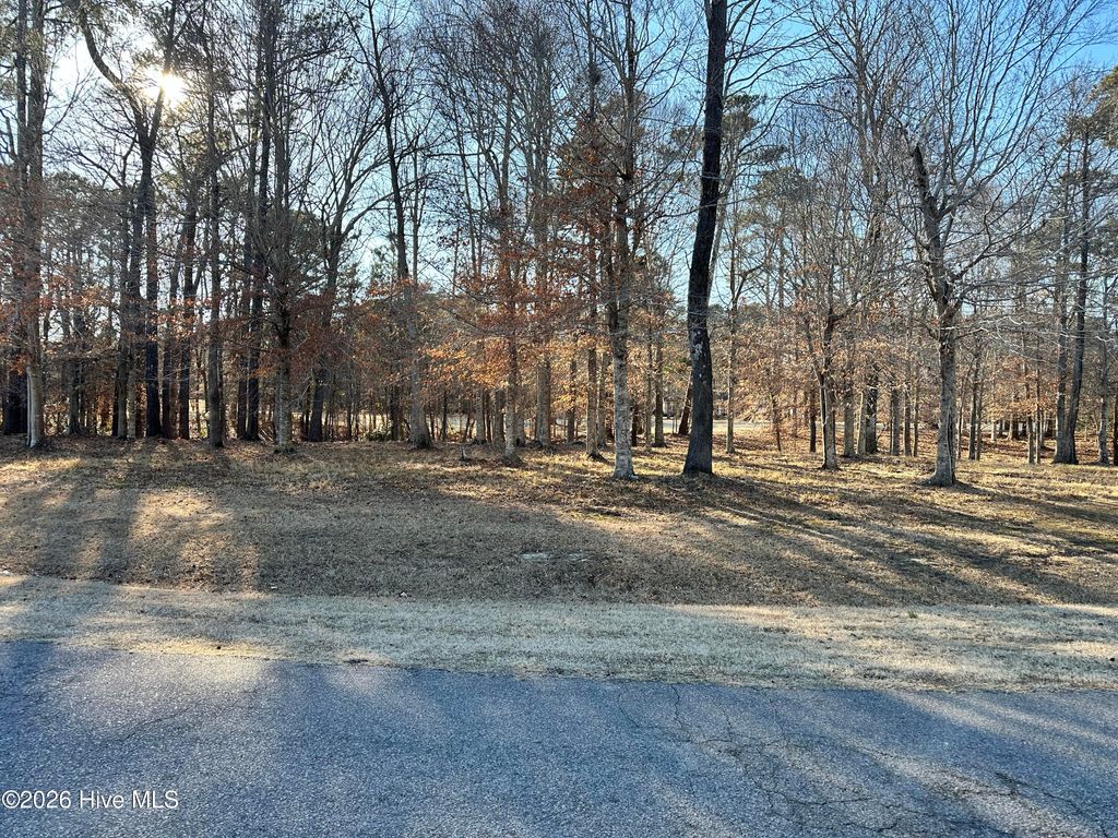 Photo of 173 Roanoke Drive, Hertford, NC 27944 (MLS # 100554186)