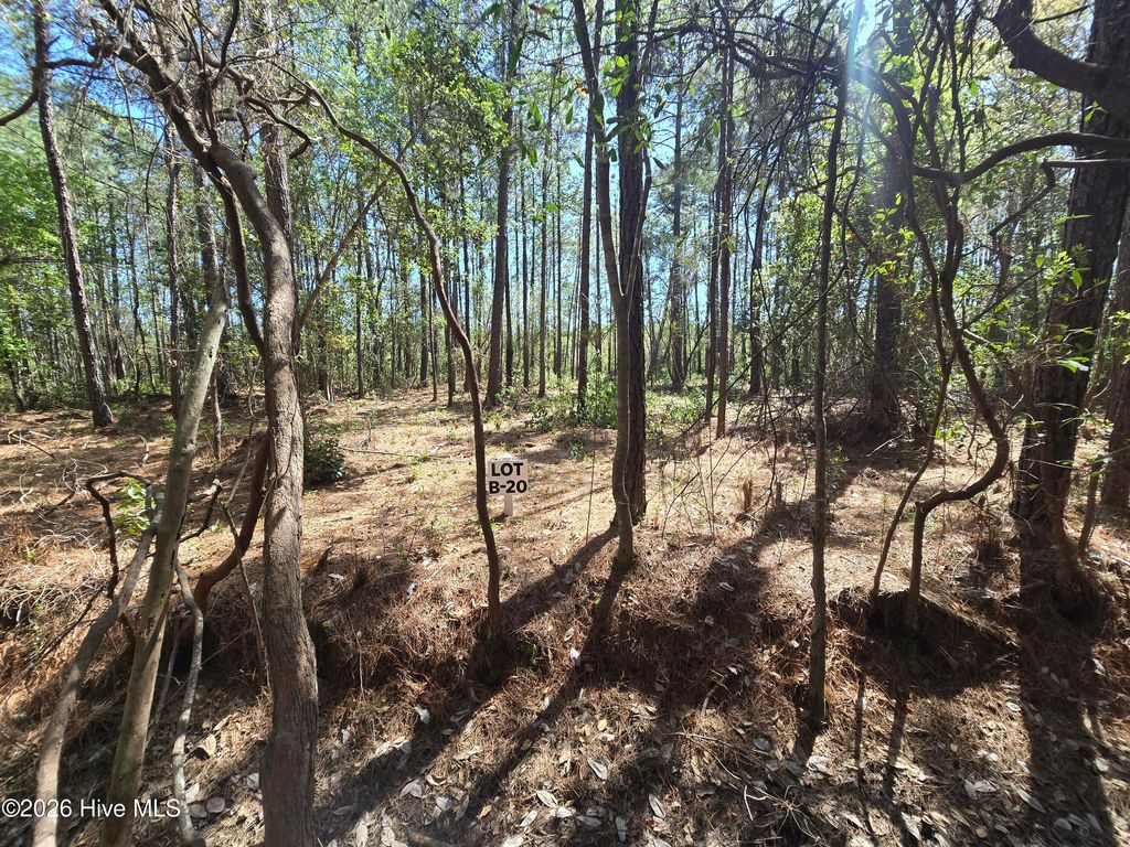 Photo of 20 Renee Drive, Hampstead, NC 28443 (MLS # 100567154)