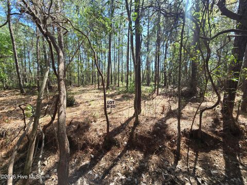 Tiny photo for 20 Renee Drive, Hampstead, NC 28443 (MLS # 100567154)