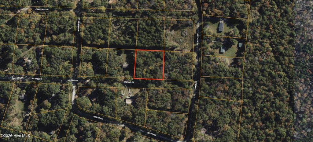 Photo of 0 Michael Drive, Haw River, NC 27258 (MLS # 100585562)