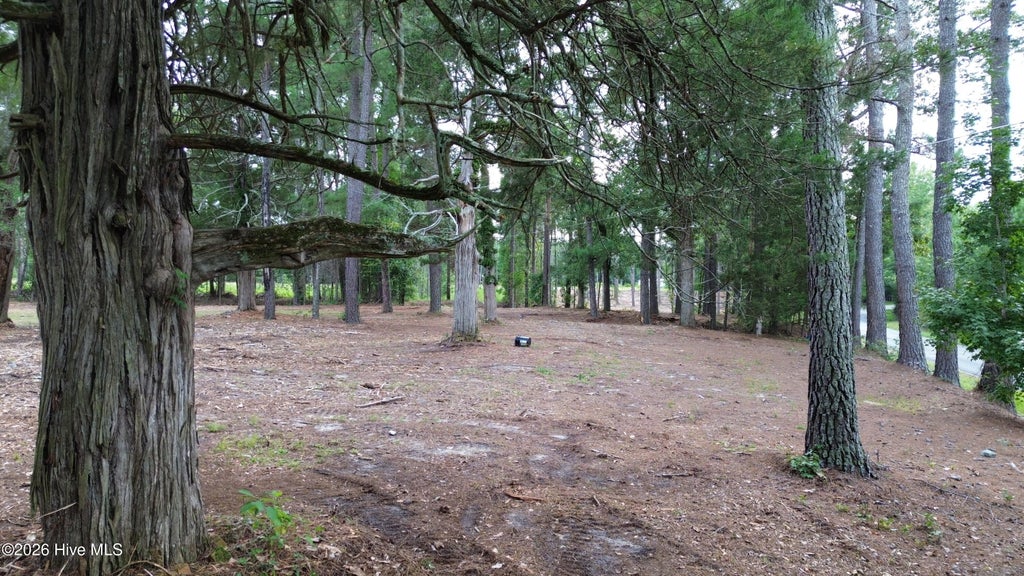 Photo of 3 Elmore, Laurinburg, NC 28352 (MLS # 100599984)