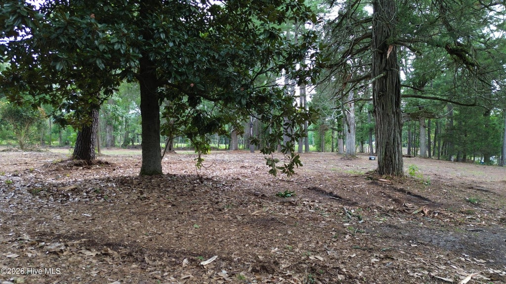 Photo of 3 Elmore, Laurinburg, NC 28352 (MLS # 100599984)
