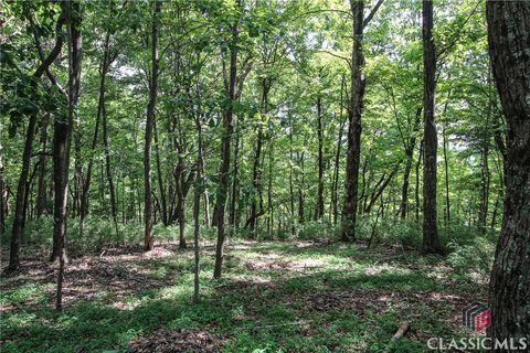 Vacant Land For Sale - 8088 Ridgeview Drive<br/> Jasper, GA 30143
