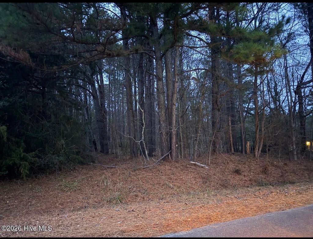 Photo of 1 Hodges Road, Franklinton, NC 27525 (MLS # 100549794)