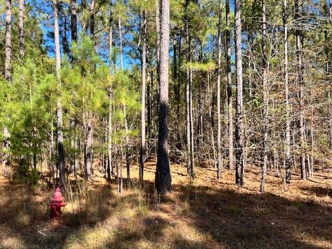 Vacant Land For Sale - Mariners Way<br/> Lincolnton, GA 30817