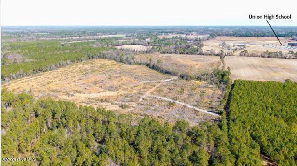 Photo of 9001100 Kader Merritt Road, Rose Hill, NC 27458 (MLS # 100555439)