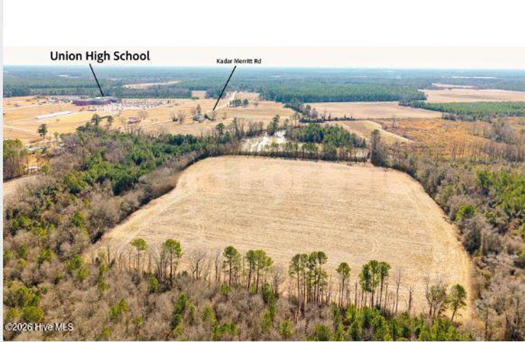 Photo of 9001100 Kader Merritt Road, Rose Hill, NC 27458 (MLS # 100555439)