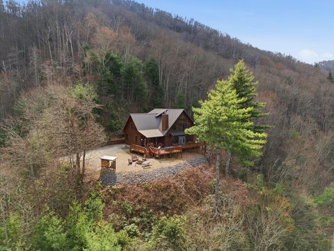 Homes For Sale - 830 Noonday Sun Ridge<br/> Topton, NC 28781