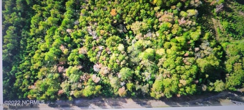 Vacant Land For Sale - LOT 1 Sr 1178 Highway<br/> Beaufort County, Chocowinity, NC 27817