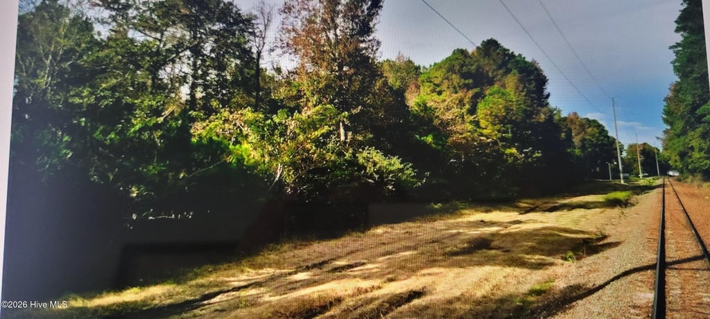 Photo of 1 Sr 1178 Highway, Chocowinity, NC 27817 (MLS # 100595734)