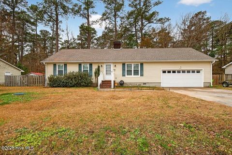 Photo of 5809 County Line Road, New Bern, NC 28562 (MLS # 100546175)
