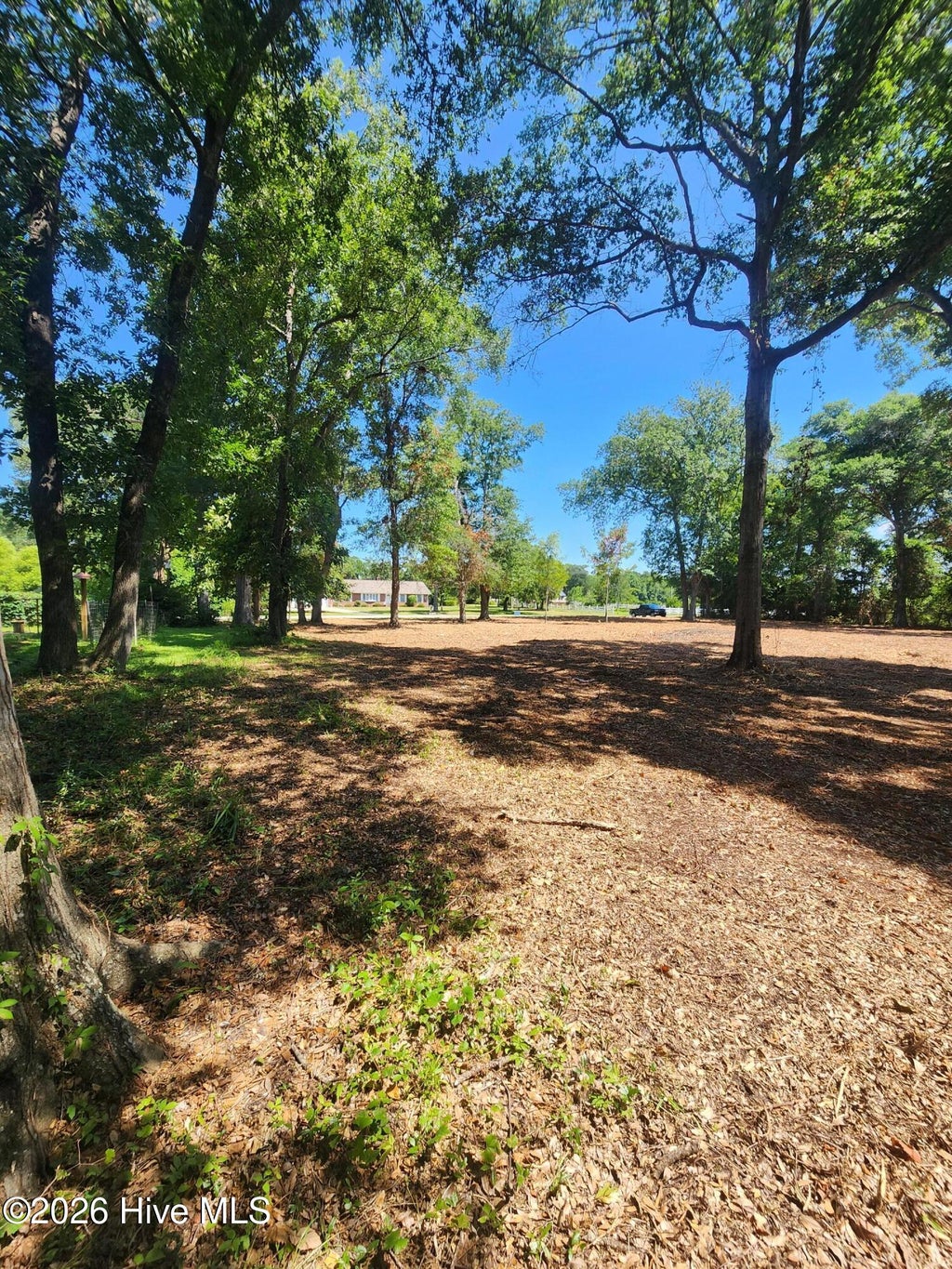 Photo of 102 Deer Run, Hubert, NC 28539 (MLS # 100585778)