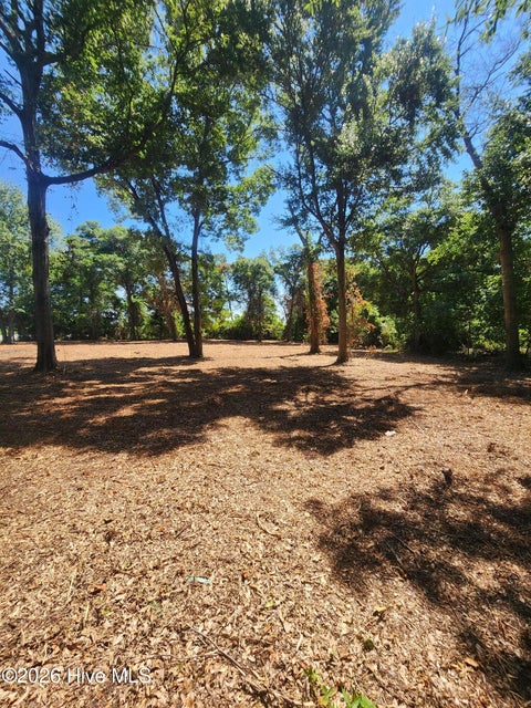 Tiny photo for 102 Deer Run, Hubert, NC 28539 (MLS # 100585778)