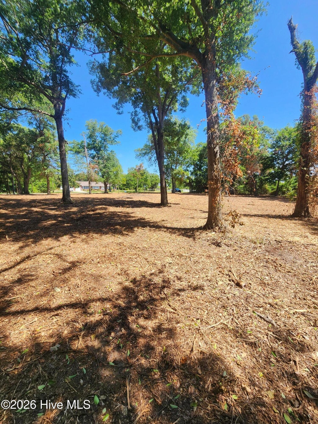 Photo of 102 Deer Run, Hubert, NC 28539 (MLS # 100585778)