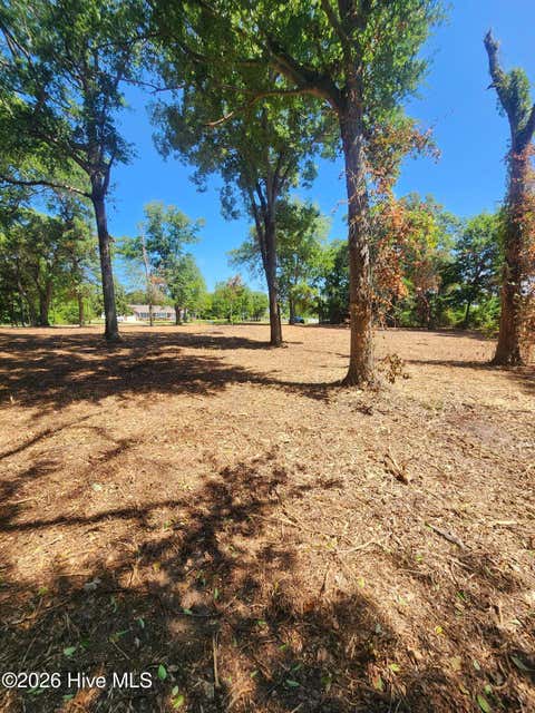 Vacant Land For Sale - 102 Deer Run<br/> Hubert, NC 28539