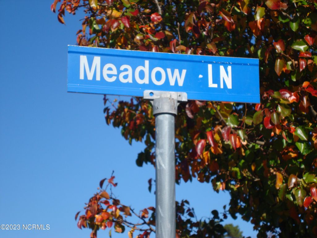 Photo of 21 Meadow Lane, Arapahoe, NC 28510 (MLS # 100544687)