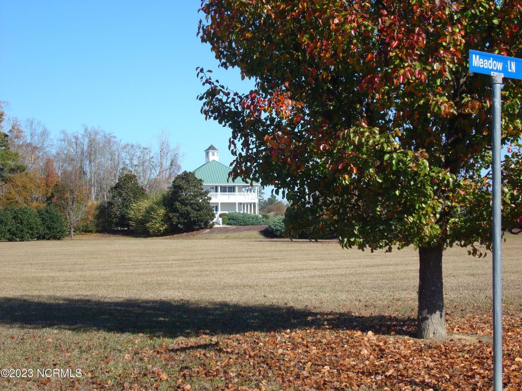 Photo of 21 Meadow Lane, Arapahoe, NC 28510 (MLS # 100544687)