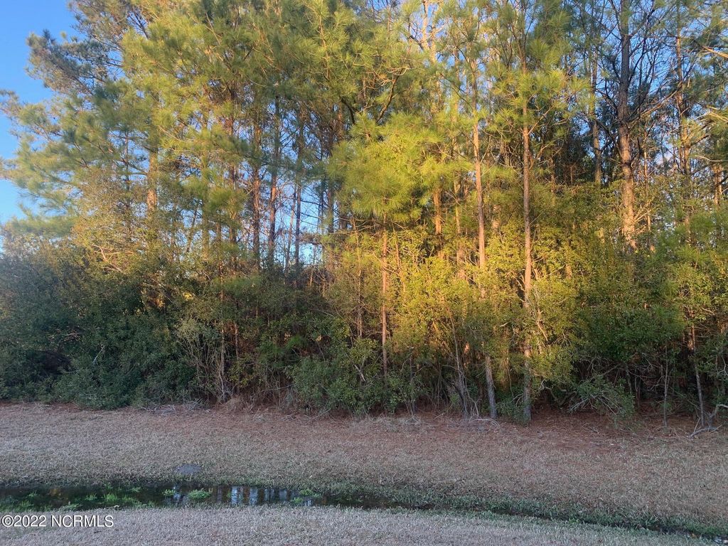 Photo of 1 Channel Marker Court, Belhaven, NC 27810 (MLS # 100488279)