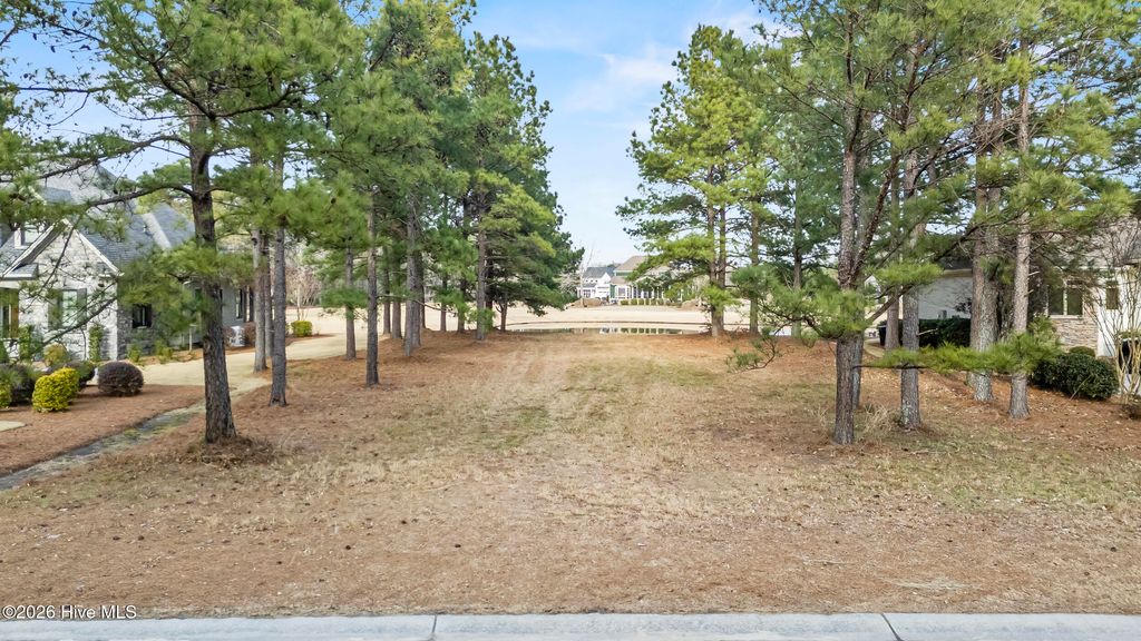 Photo of 152 Legacy Lakes Drive, Wallace, NC 28466 (MLS # 100551528)