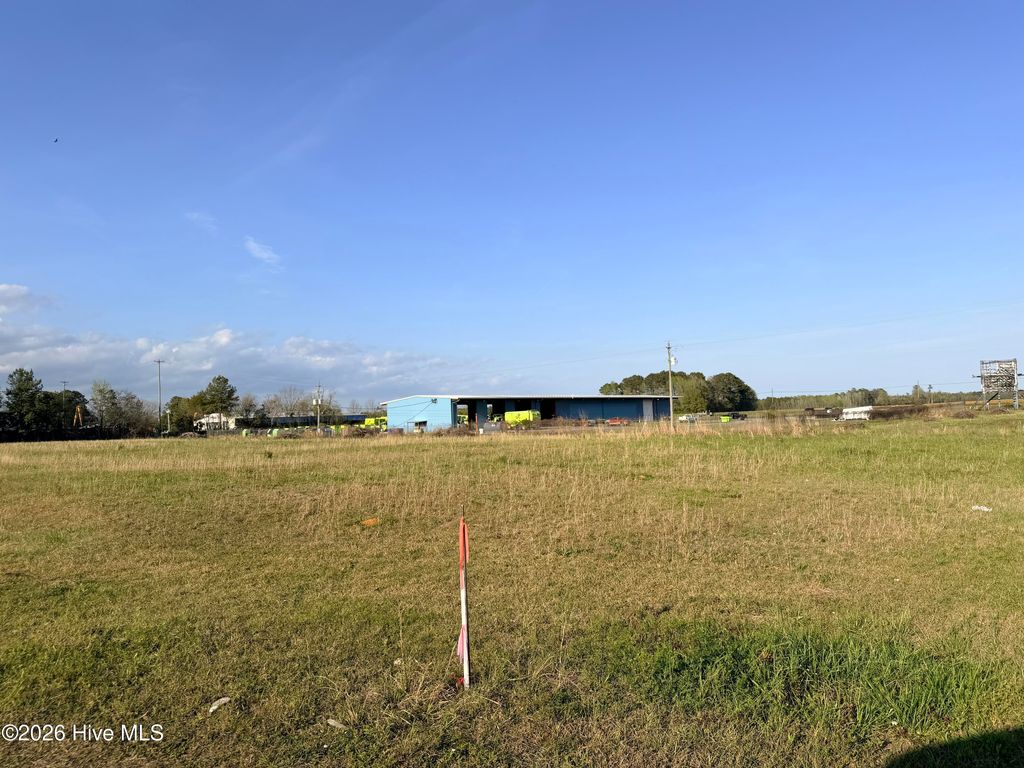 Photo of 235 New Hope Street, Whiteville, NC 28472 (MLS # 100565087)