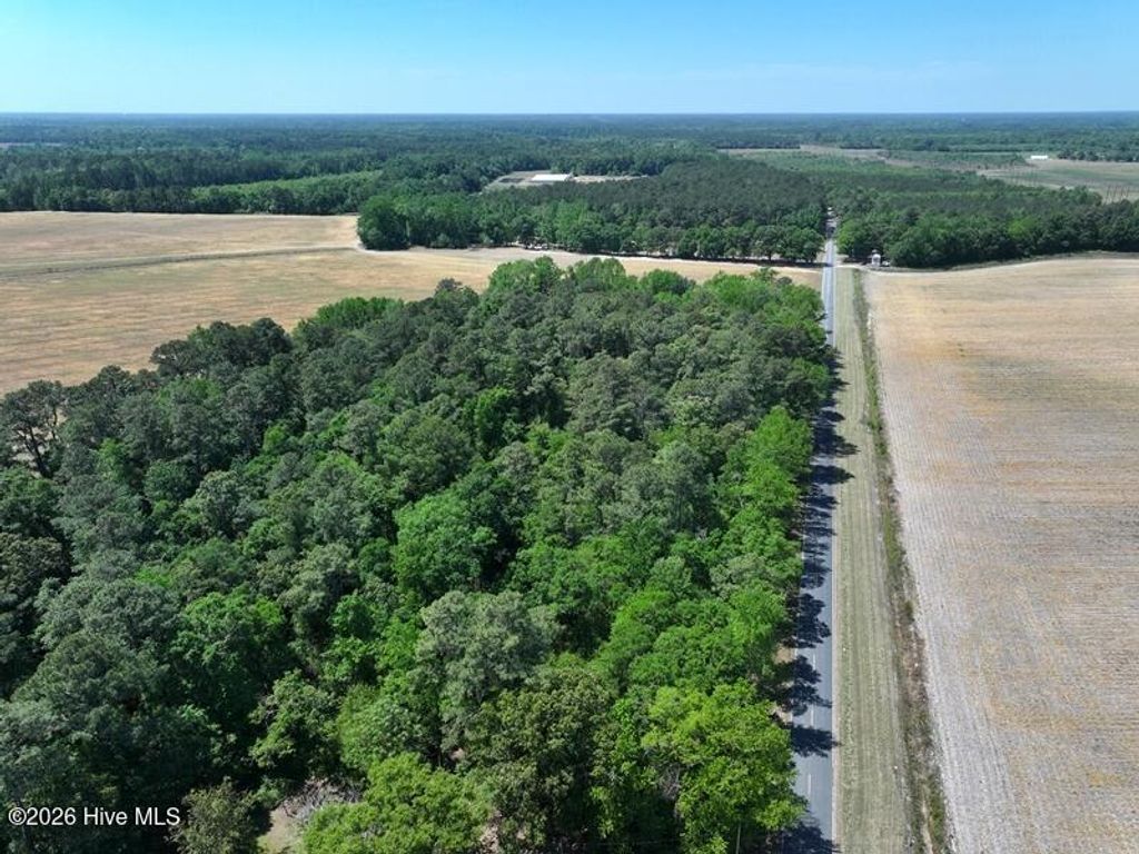 Photo of Tbd N Duffie Road, Red Springs, NC 28377 (MLS # 100570414)