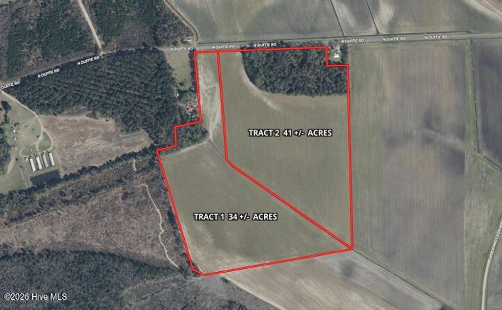 Photo of Tbd N Duffie Road, Red Springs, NC 28377 (MLS # 100570414)
