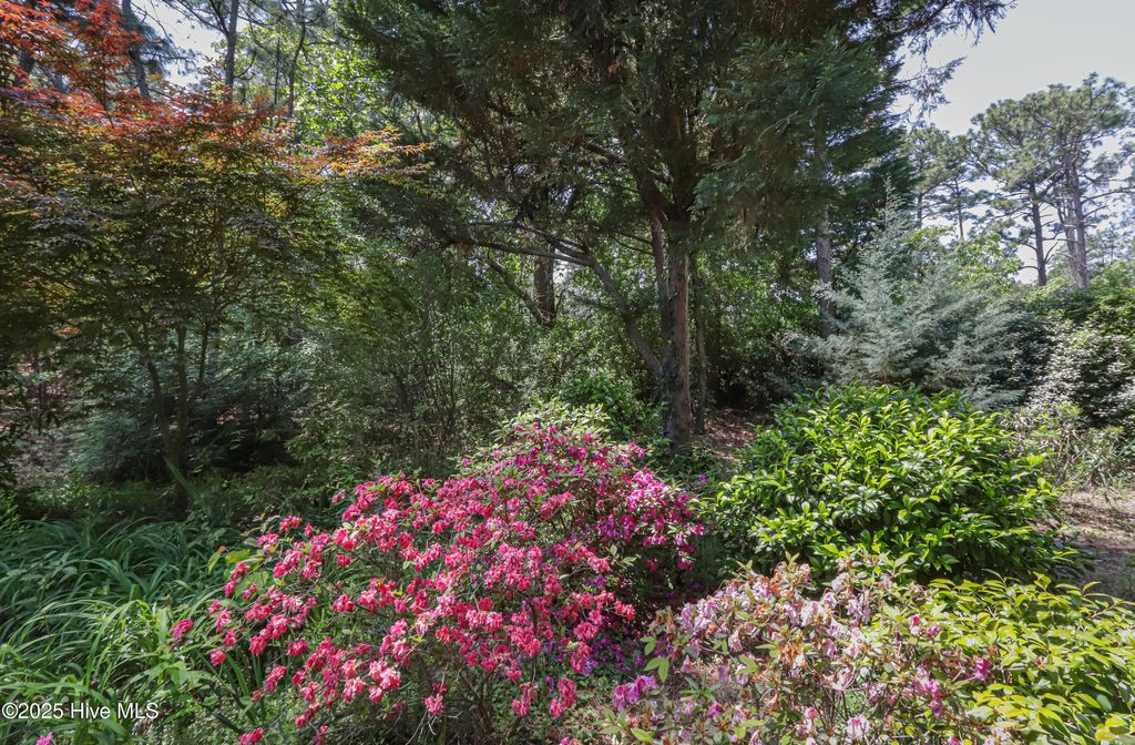 Photo of 127 Sakonnet Trail, Pinehurst, NC 28374 (MLS # 100559974)