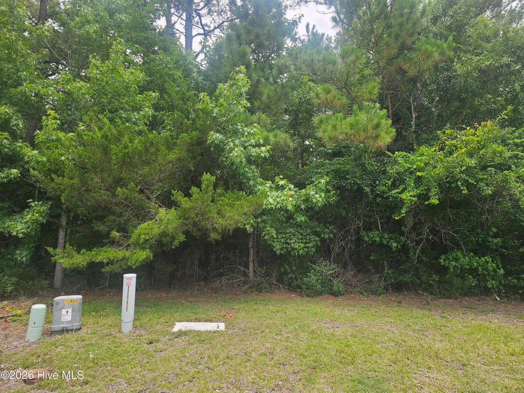 Photo of 1802 Arctic Tern Court, Morehead City, NC 28557 (MLS # 100586532)