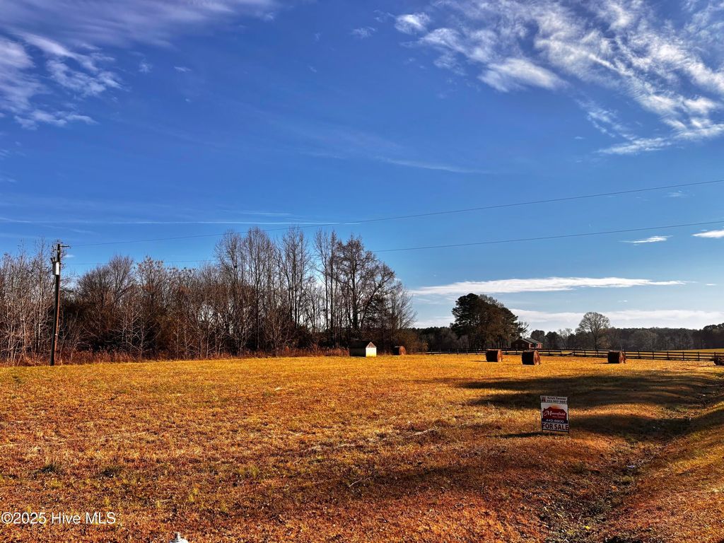 Photo of 3 N Nc 58 Highway, Nashville, NC 27856 (MLS # 100544869)