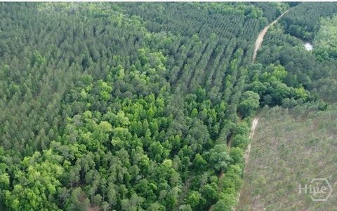 Vacant Land For Sale - Old Manassas Foy Road #TRACT 5<br/> Bulloch County, Register, GA 30452