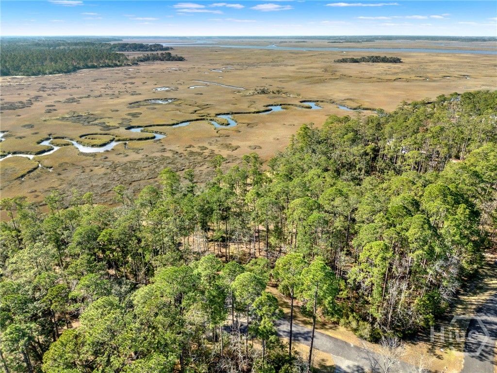 Photo of 0 Sapelo Circle NE, Townsend, GA 31331 (MLS # SA347659)