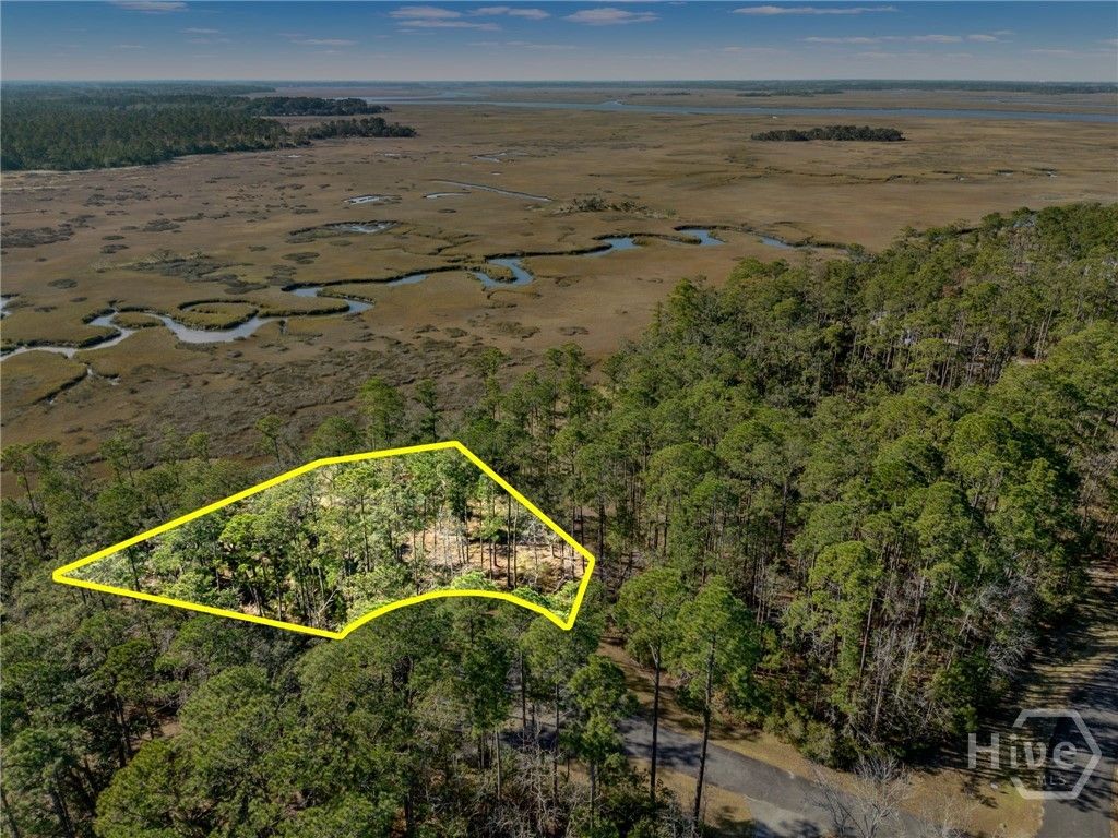 Photo of 0 Sapelo Circle NE, Townsend, GA 31331 (MLS # SA347659)